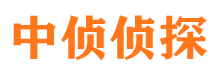 溆浦市私家侦探